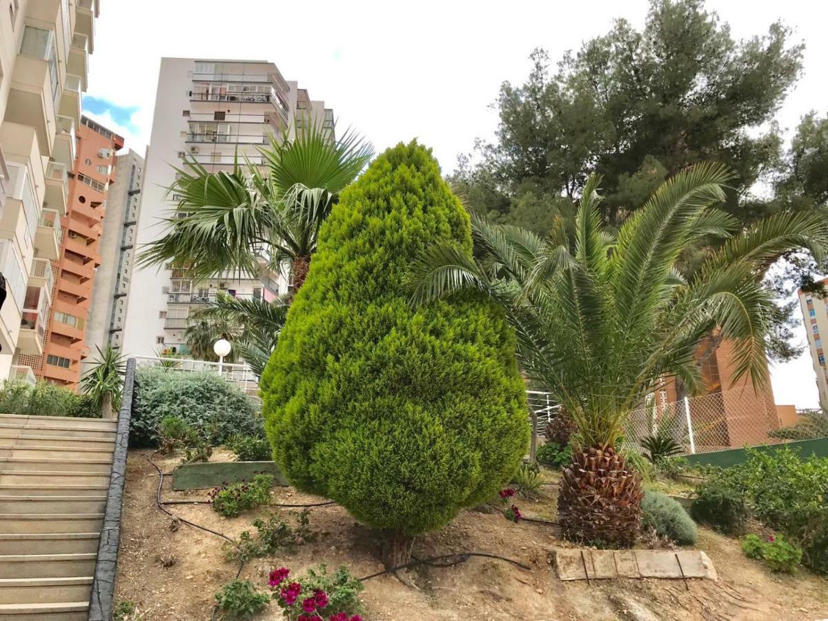 Apartment Levante Beach Calle Londres