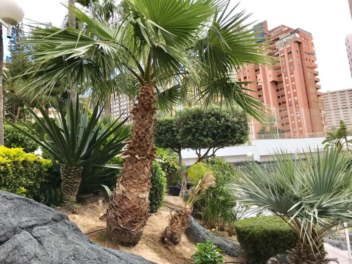 Apartment Levante Beach Calle Londres Benidorm